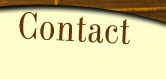 contact page button